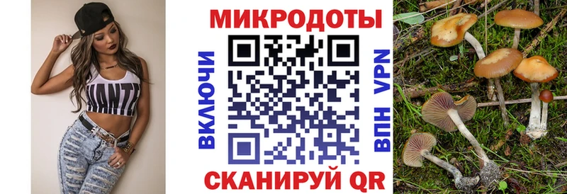 Галлюциногенные грибы прущие грибы  KRAKEN ссылка  Медвежьегорск  наркотики 